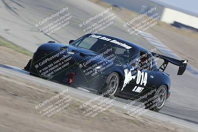 media/Oct-21-2023-Speed Ventures (Sat) [[ddf75163c5]]/Green/Grapvine/